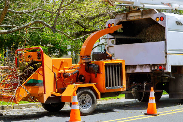 Best Commercial Tree Services  in Waverly, IA